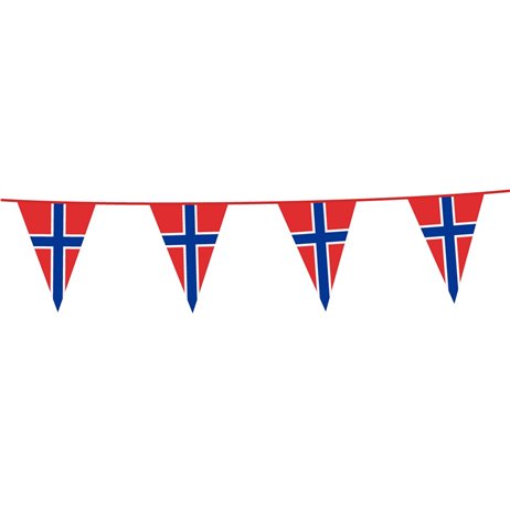 10 meter Flagggirland Norge - 15 flaggor 20x30 cm