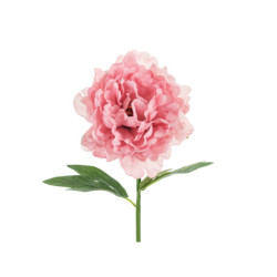 Artificial flower - Peony, 35 cm, pink Artificial flower - Peony, 35 cm, pink
