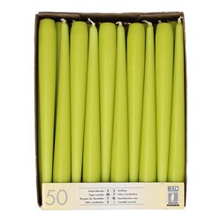 10 st. Matt Salviagröna Antikljus 24 cm – Skapa lugn och elegans för din fest 10 st. Matt Salviagröna Antikljus 24 cm – Skapa lugn och elegans för din fest