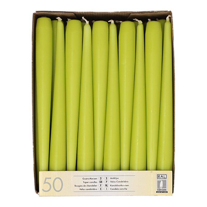 10 st. Matt Salviagröna Antikljus 24 cm – Skapa lugn och elegans för din fest 10 st. Matt Salviagröna Antikljus 24 cm – Skapa lugn och elegans för din fest
