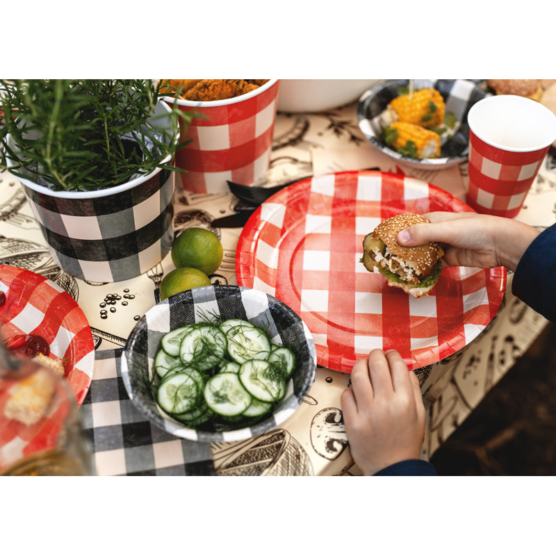 Paper plates checkered, mix, 27 cm (1 pkt / 6 pc.)