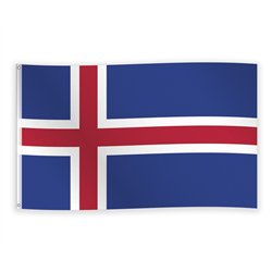 Dannebrogsflagga R&ouml;d/Vit 150x90 cm polyester