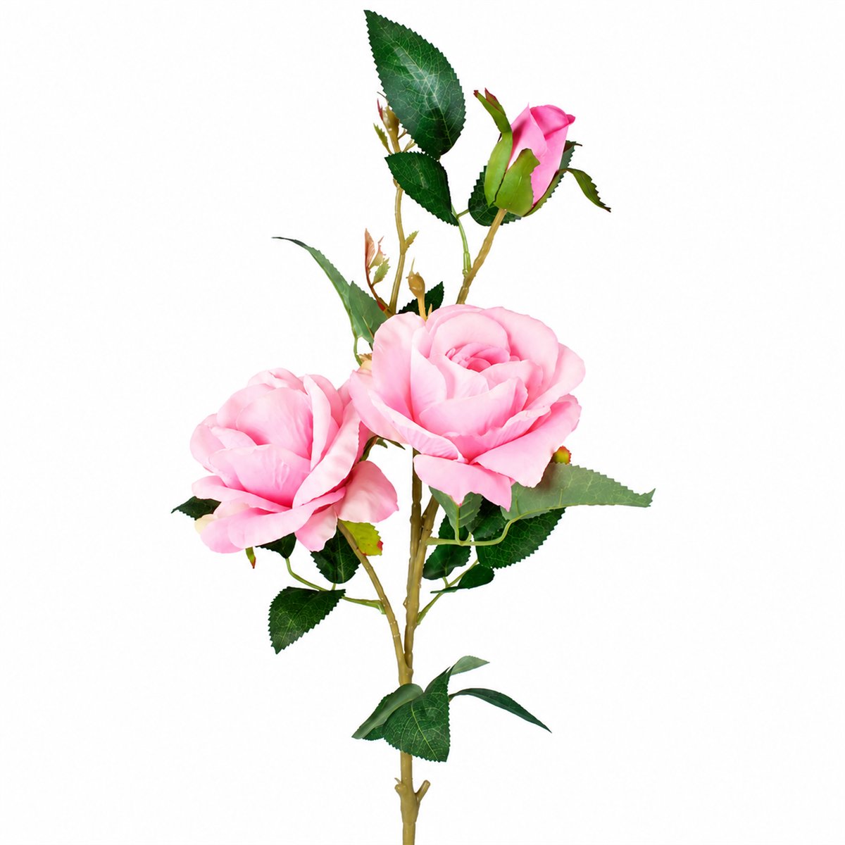 Konstgjord Engelsk Ros rosa 65 cm – 2 blomhuvuden & knopp Konstgjord Engelsk Ros rosa 65 cm – 2 blomhuvuden & knopp