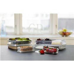 50 st Transparenta Condibunkar 250 ml – PP, stapelbara 50 st Transparenta Condibunkar 250 ml – PP, stapelbara