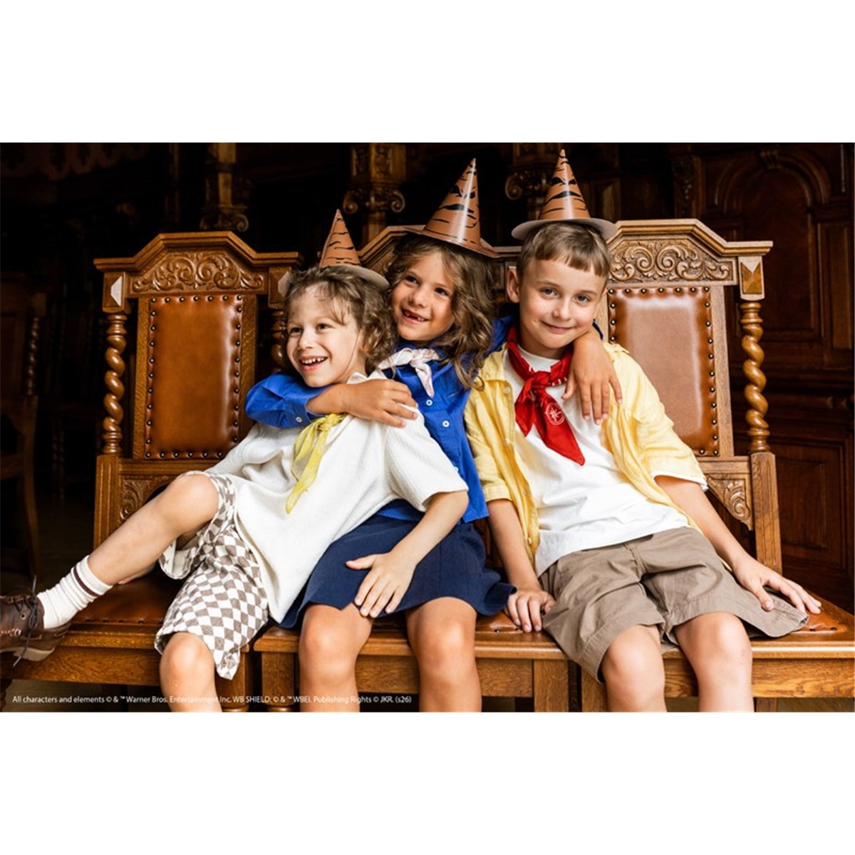 Hats Harry Potter Sorting Hat, 16 cm, brown (1 pkt / 6 pc.) Hats Harry Potter Sorting Hat, 16 cm, brown (1 pkt / 6 pc.)