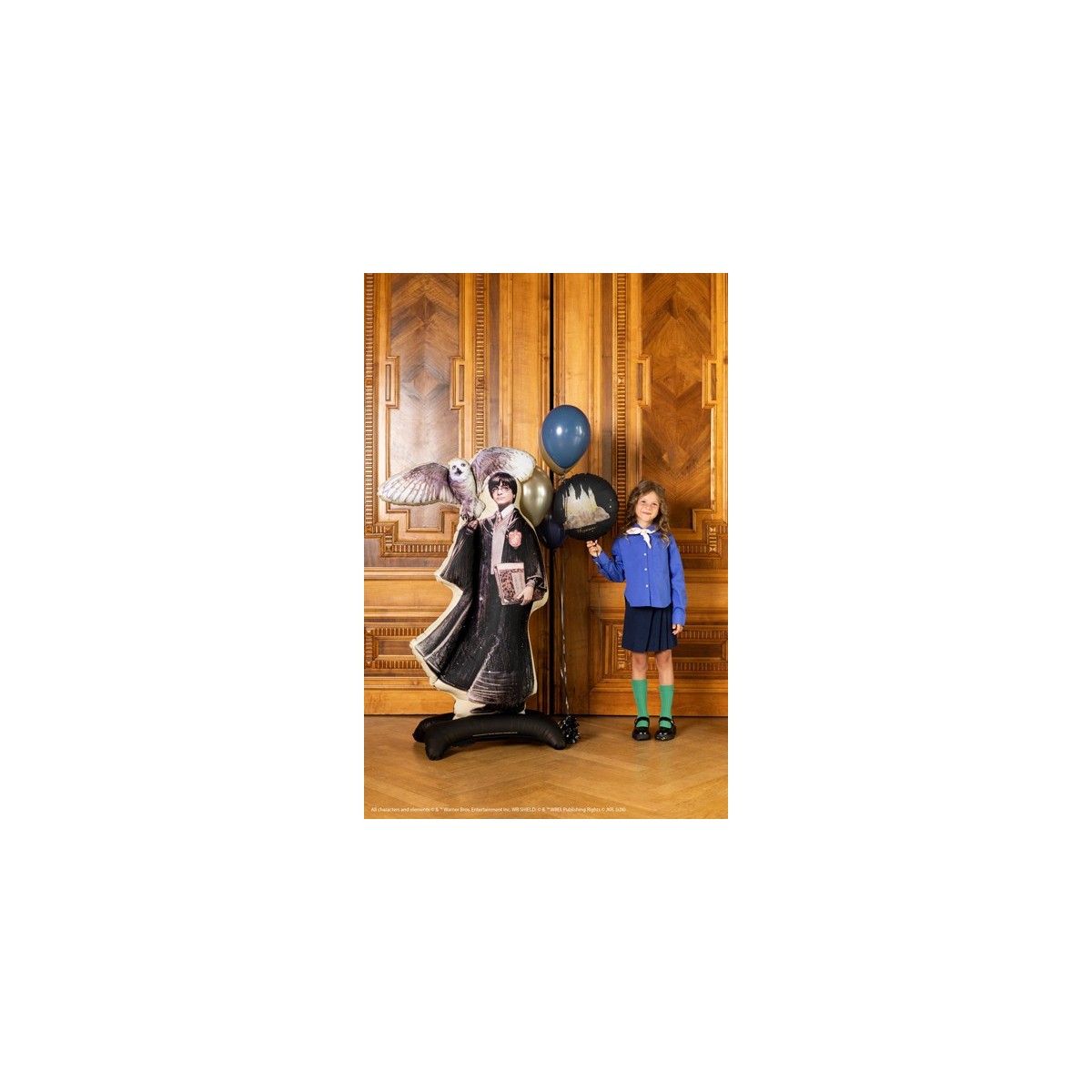 Standing foil balloon Harry Potter with Hedwig, 90x145 cm, black Standing foil balloon Harry Potter with Hedwig, 90x145 cm, black
