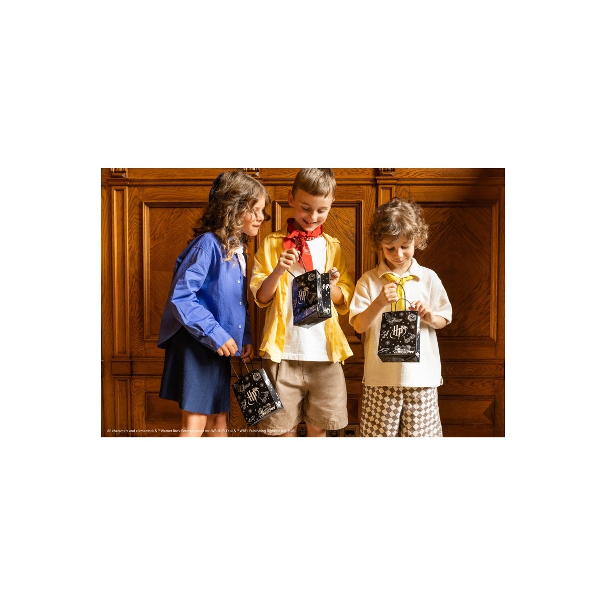 Paper gift bags Harry Potter, 12x15.5x6 cm, black (1 pkt / 6 pc.) Paper gift bags Harry Potter, 12x15.5x6 cm, black (1 pkt / 6 pc.)