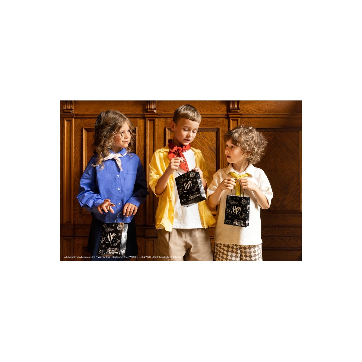 Paper gift bags Harry Potter, 12x15.5x6 cm, black (1 pkt / 6 pc.) Paper gift bags Harry Potter, 12x15.5x6 cm, black (1 pkt / 6 pc.)