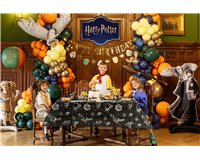 Harry Potter™